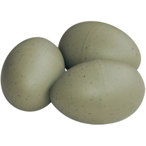 Plastic Imitation Seagull Eggs
