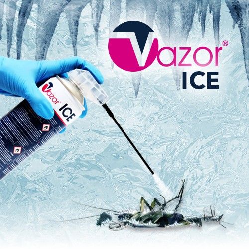 Vazor Ice