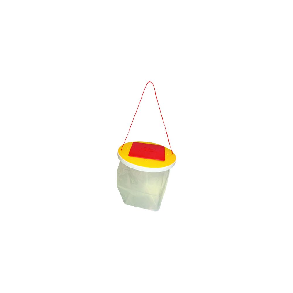 Redtop Fly Catcher