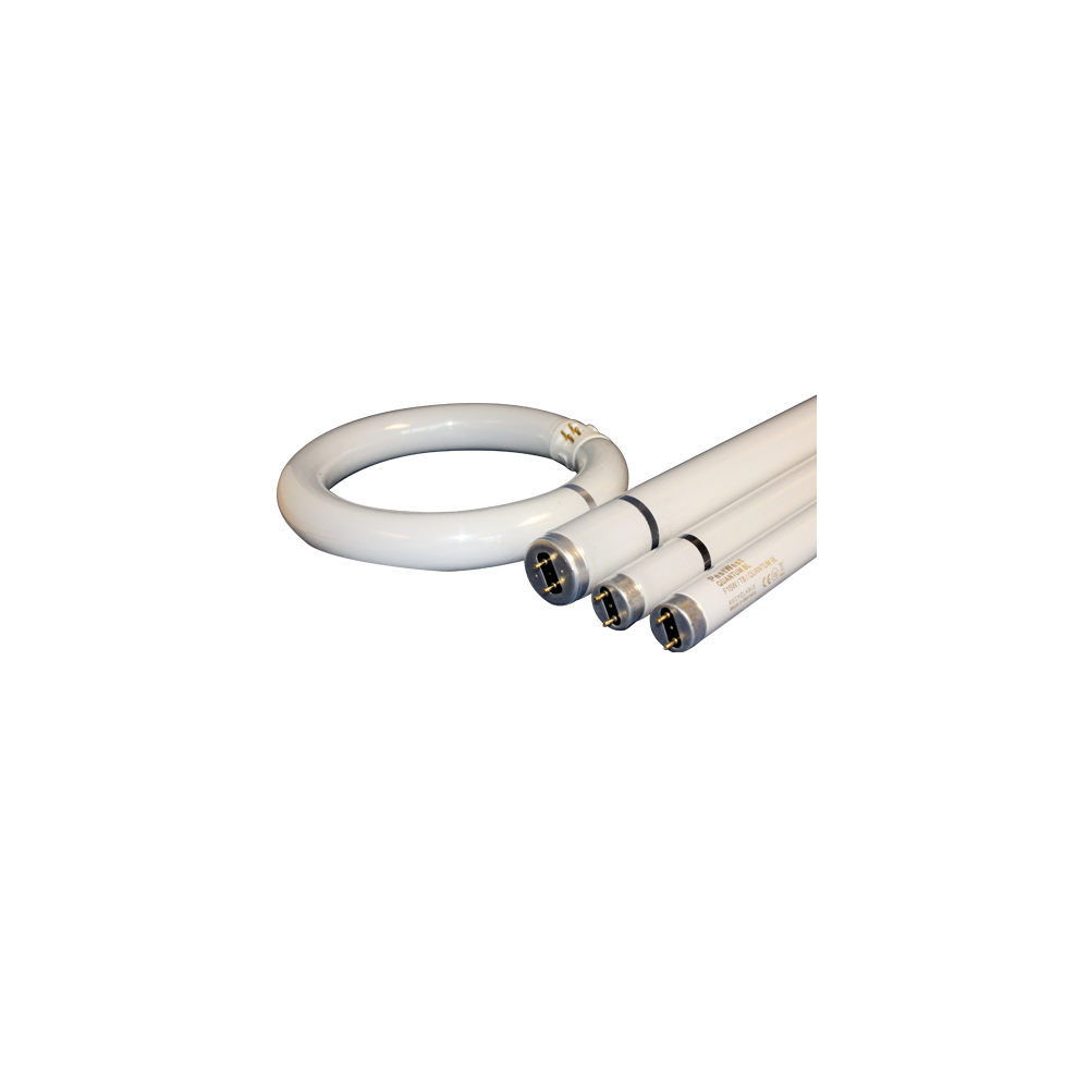Quantum Shatterproof Tubes