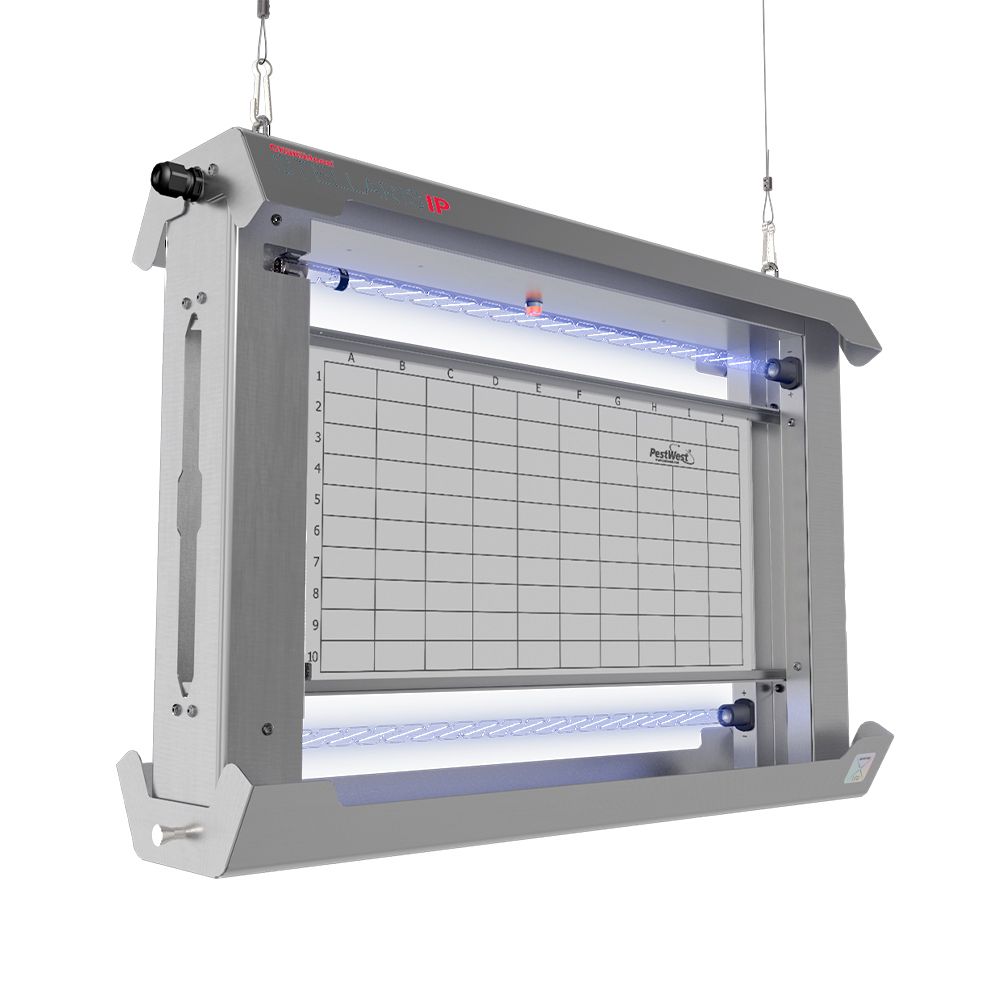 Chameleon Stellaris IP