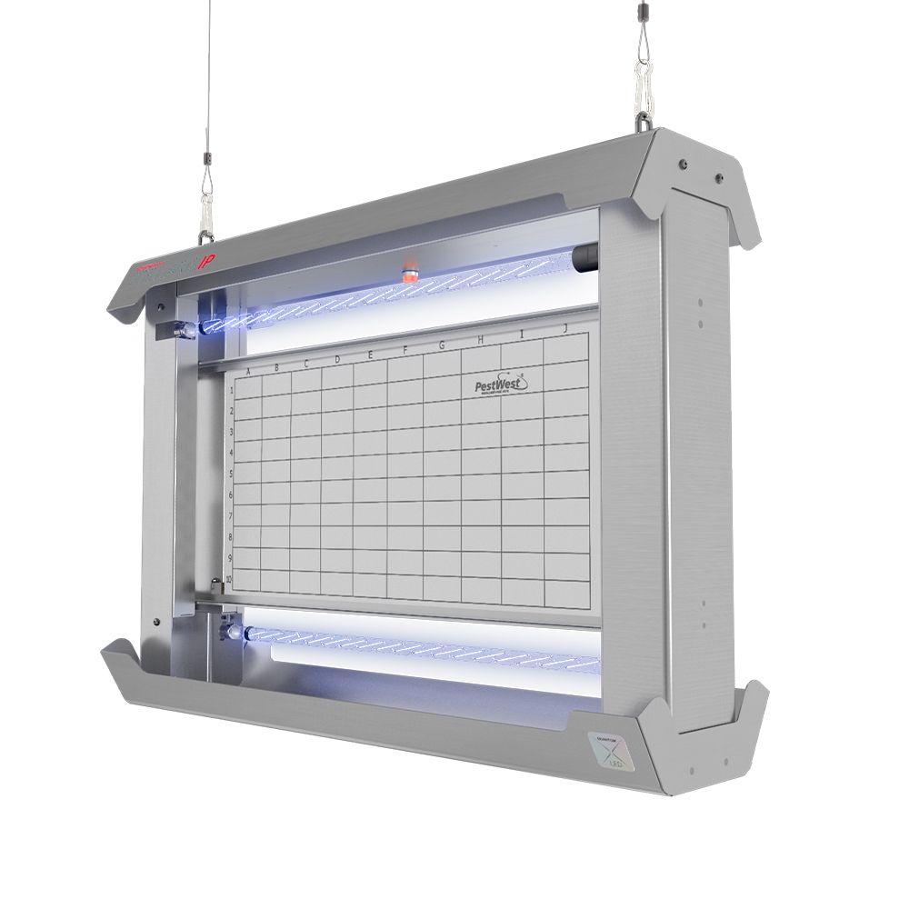 Chameleon Stellaris IP