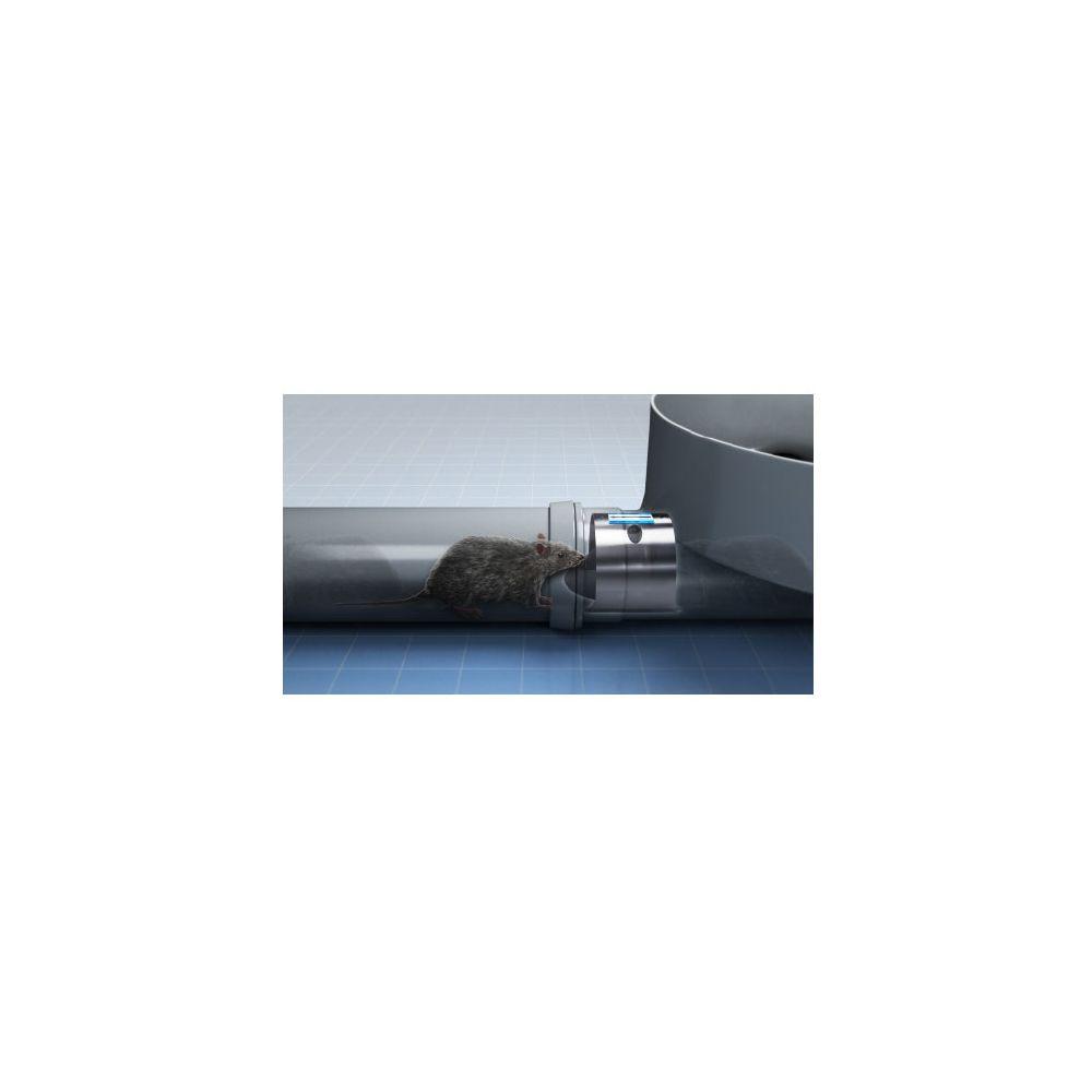 Stainless Steel Rat Flap