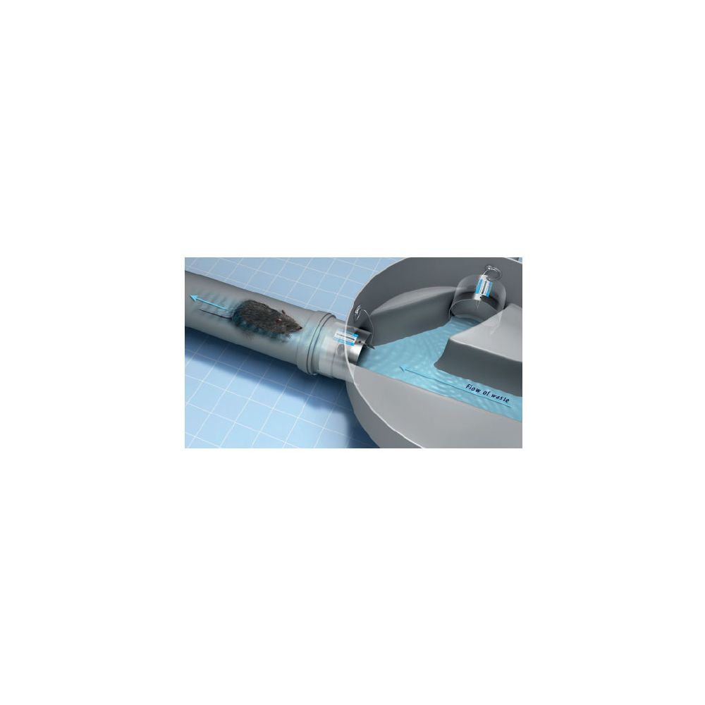 Stainless Steel Rat Flap