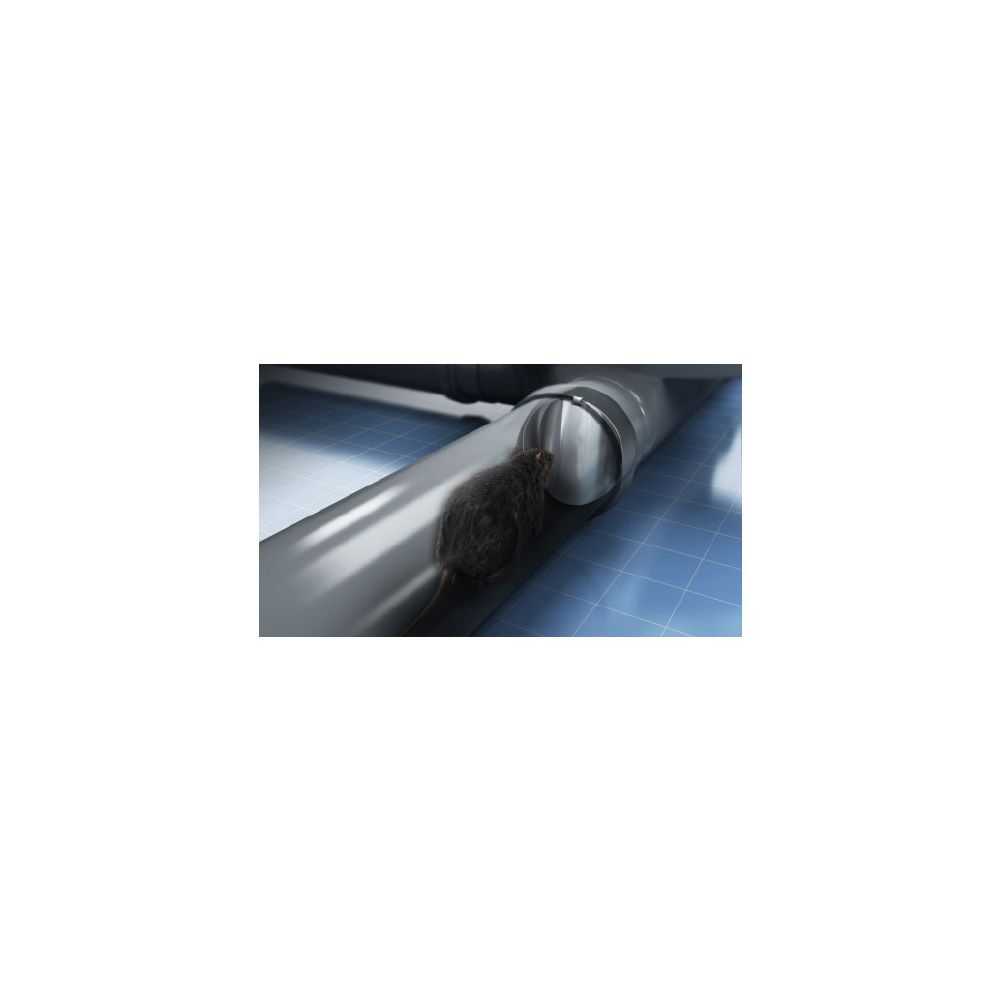 Stainless Steel Rat Flap