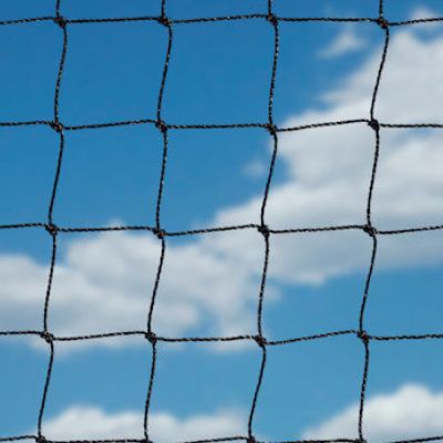 28mm Starling Netting