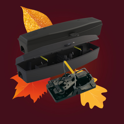 AF® Trapmus & Snap-e Mouse Traps