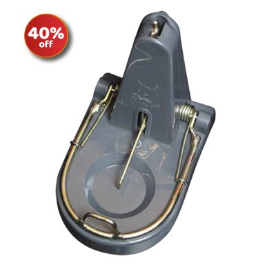Black Cat Rat Trap Offer