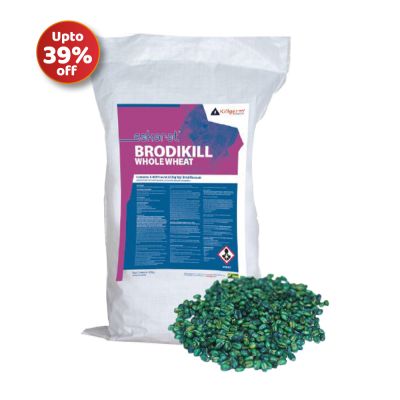 Sakarat® Brodikill Whole Wheat Offer