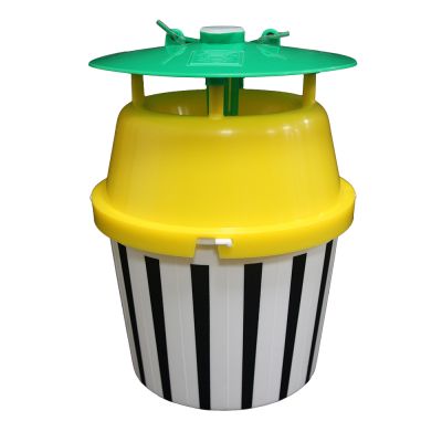 Black Stripe Moth Trap