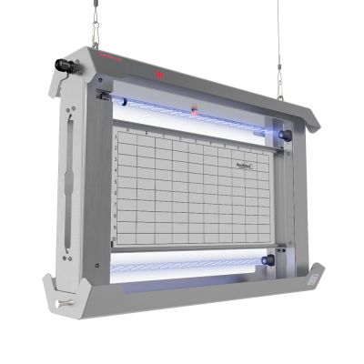 Chameleon Stellaris IP