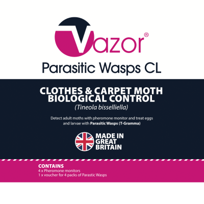Vazor Parasitic Wasps CL