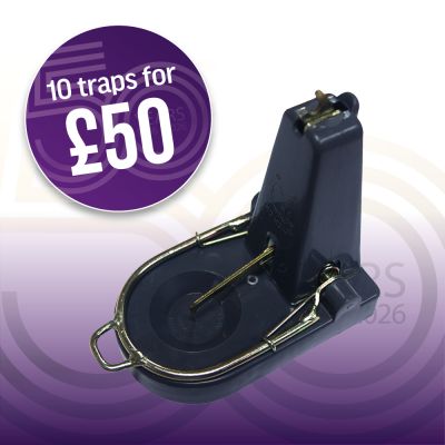 Nano Black Cat Rat Trap