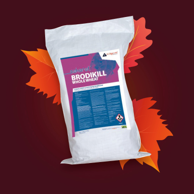 Sakarat Brodikill Whole Wheat