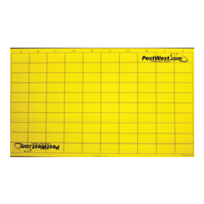 Yellow Chameleon® Monitoring Sticky Boards