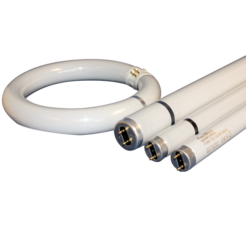 Quantum Shatterproof Tubes