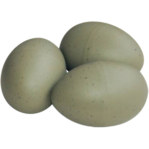 Plastic Gull Egg