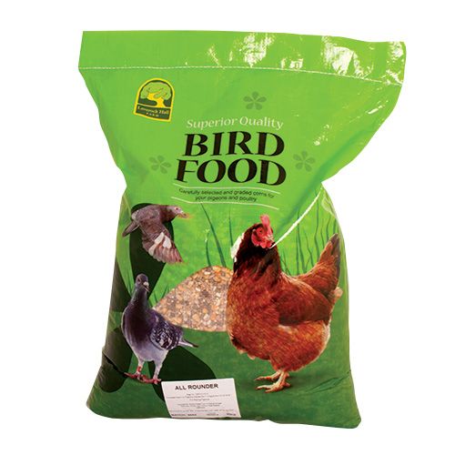 Pigeon Corn