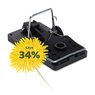 Big Snap-E Rat Trap