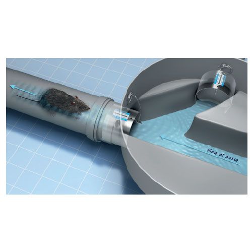 Stainless Steel Rat Flap