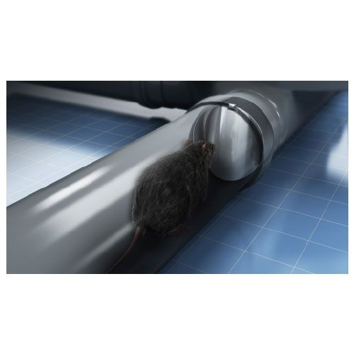Stainless Steel Rat Flap