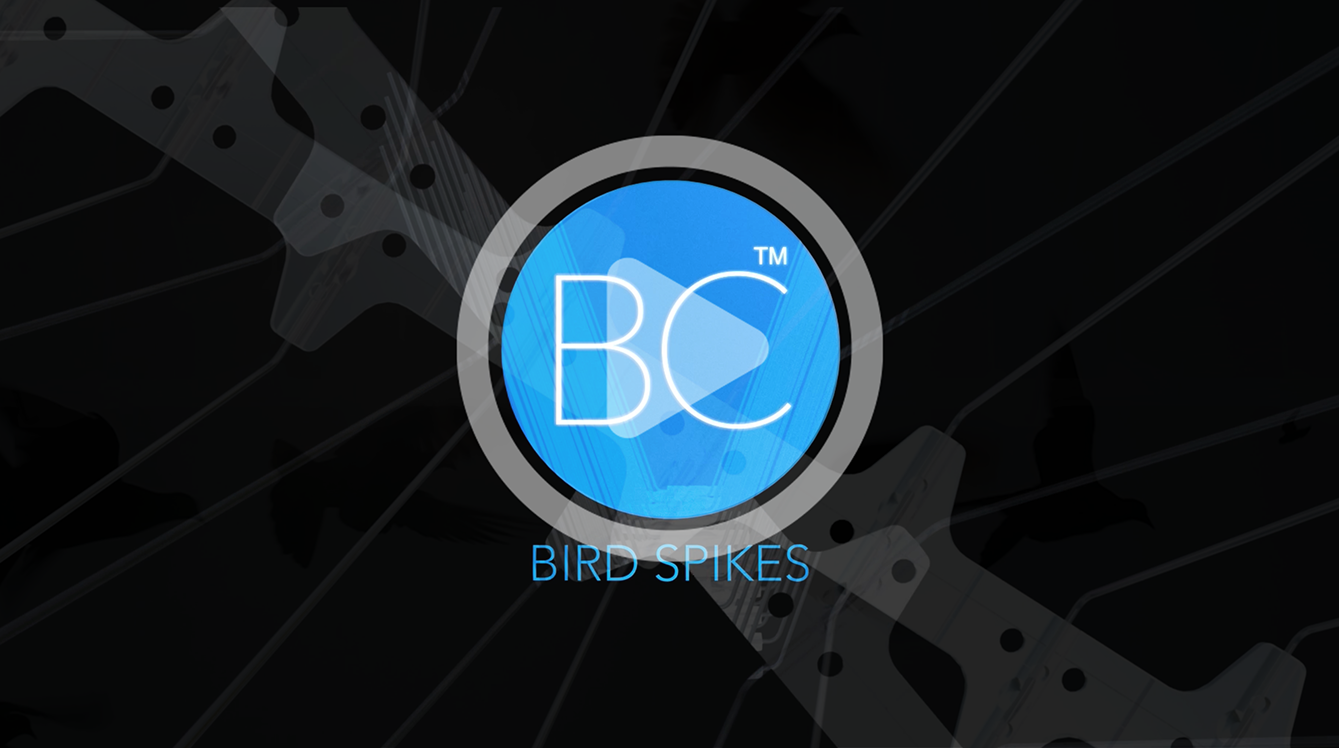 BC Bird Spikes product overview